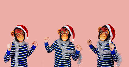 three men dancing wearing monkey masks, santa hats, eyeglasses with the sentence merry christmas, and strips of silver tinsel around their necks, on a pink background with some blank space on topの写真素材