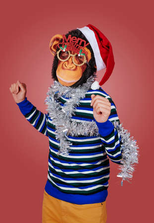 a funny man dances wearing a monkey mask, a santa hat, a pair of eyeglasses with the sentence merry christmas, and a strip of silver tinsel around his neck, on a pink backgroundの写真素材
