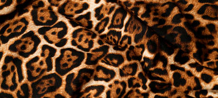 a draped panther print fabric to be used as a backgroundの写真素材