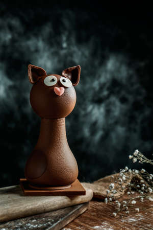 closeup of a chocolate cat as a Spanish Mona de Pascua, a traditional confection given by godparents to godchild on Easter and typically eaten on Easter Mondayの写真素材