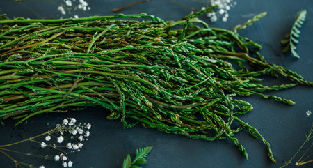 closeup of a bunch of raw wild asparagus on a black stone surface, in a panoramic format to use as...