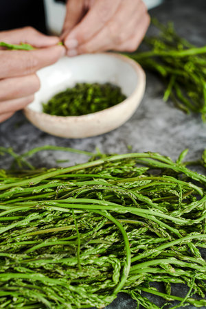 closeup of a pile of fresh wild asparagus on a stone surface and a young man cutting the edible part...