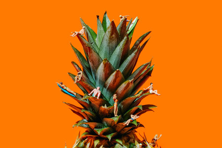 some miniature people, wearing swimsuit, on the leaves of a pineapple, on an orange backgroundの写真素材