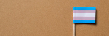 high angle view of a transgender pride flag attached to a wooden pole on a brown background, in a panoramic format to use as web banner or headerの写真素材