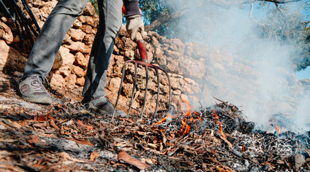 closeup of a man burning branches and other plant remains after the pruning of different trees, in...
