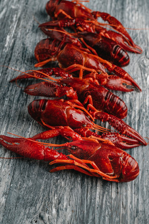 some cooked crayfish forming a line on a gray rustic wooden tableの写真素材