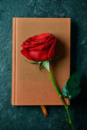 high angle view of a brown book, with a Catalan flag peeking out of it, and a red rose for Saint George Day, Sant Jordi in Catalan, when it is tradition to give red roses and books in Catalonia, Spainの写真素材