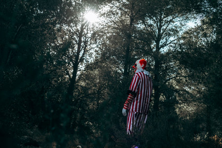 a mad evil redhead clown, wearing a white and red striped costume with a white ruff, is walking by the woods with a scary atmosphereの写真素材