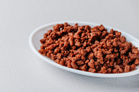 some fried mock ground meat in an oval white ceramic dish placed on a pale gray surfaceの写真素材