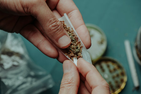 closeup of a man putting a paper filter in a joint made with shredded cannabis mixed with tobacco, before to roll it, sitting at a tableの写真素材