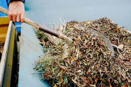a man use a shovel to throw plant remains into a large container for plant debrisの写真素材