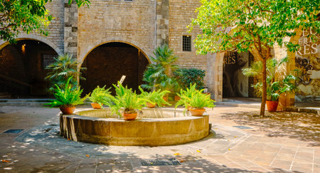 Barcelona, Spain - June 4, 2024: Detail of El Verger, the courtyard of Palau Reial Major palace in Barcelona, Spain, the orchard in Englishのeditorial素材