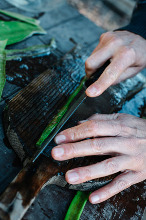 closeup of a man in an organic farm trimming the edges of a piece of aloe gel, at a rustic wooden table outdoorsの写真素材