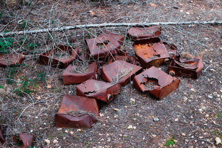 some old rusty cans in decomposition phase dumped on the ground of a forestの写真素材