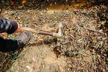 closeup of a man using a shovel to take out some plant remains from a large container for plant...