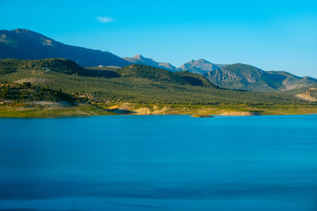 a view of the Iznajar reservoir, located in the province of Cordoba, southern Spain, surrounded by aligned olive groves arranged over rolling hills, on a sunny dayの写真素材