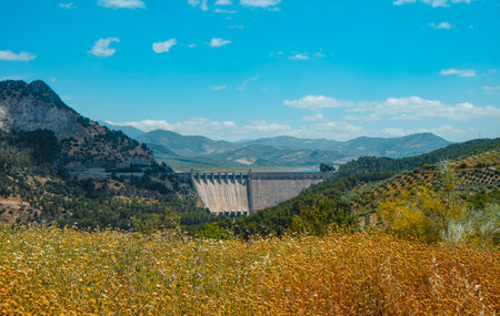 the dam of the Iznajar reservoir appears beyond a field of wildflowers in Cuevas de San Marcos, with steep hills, olive groves and distant ridges rising across the province of Cordobaの写真素材