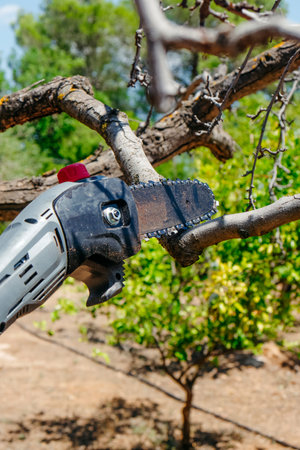 close-up of an electric pruning saw trimming a branch from a leafless tree with green vegetation and...