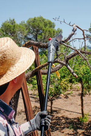close-up of a man using a telescopic electric chainsaw to cut a thick dry branch while working...