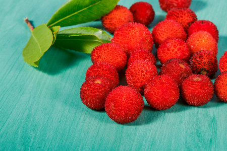arbutus berries forming a loose pile next to a sprig of green leaves, the fruit of Arbutus unedo also known as strawberry tree, red spheres with spiky skin placed on a teal boardの写真素材