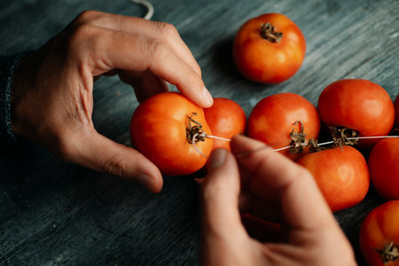 top view of several Spanish tomates de colgar, tomatoes for hanging, being strung together with thread, part of the Spanish tradition of hanging tomatoes for long-term storageの写真素材