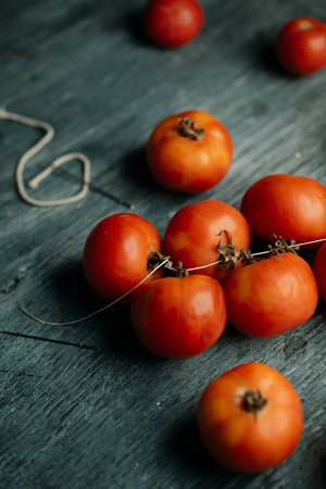 closeup of a bunch of ripe Spanish tomates de colgar, tomatoes for hanging, being tied with string into a ristra, on a rustic gray wooden tableの写真素材