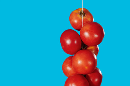 closeup of a string of tomates de colgar, Spanish tomatoes for hanging, vibrant red against a bright blue background, minimalist and fresh compositionの写真素材