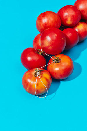 closeup of a string of tomates de colgar, Spanish tomatoes for hanging, resting on a blue surface, bright light enhancing the vivid red and golden huesの写真素材