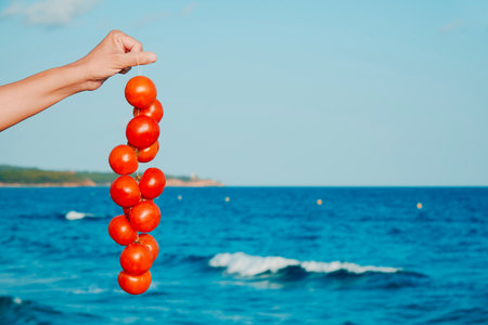 by the shoreline, a man presents Spanish tomates de colgar, tomatoes for hanging, the string of red fruit hanging against turquoise waves and distant landの写真素材