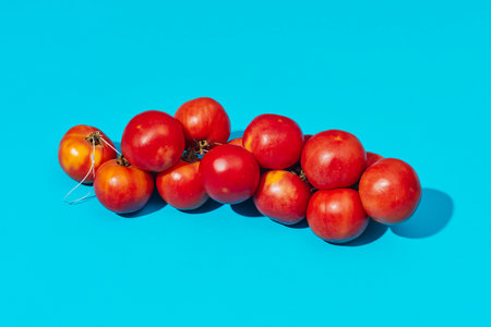 a cluster of tomates de colgar, Spanish tomatoes for hanging, arranged diagonally over a cyan background, bright light creating smooth glossy reflectionsの写真素材