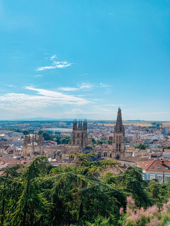 the cathedral of Burgos, in Spain, dominates the skyline on a sunny day, framed by trees in the foreground and the open landscape spreading behind the cityの写真素材