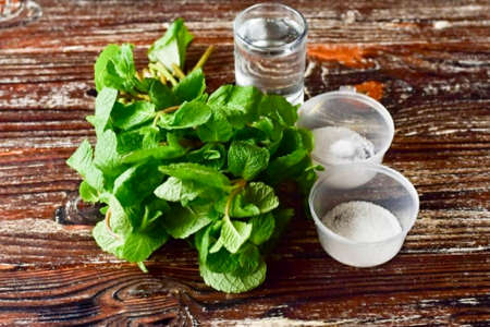 Prepare all the required ingredients for the Meat Mint Sauce.の写真素材