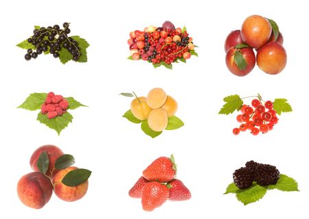 Fruits and berries collection on whiteの写真素材