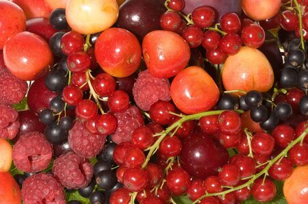 fresh berries as backgroundの写真素材