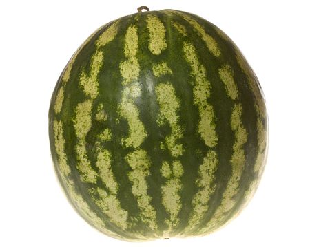 melon on white backgroundの写真素材