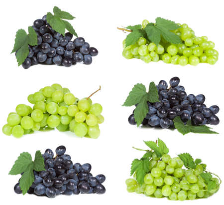 set with grape on white backgroundの写真素材