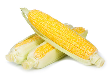 fresh corn on a white background