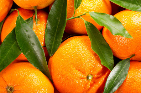 fresh tangerines with leaves