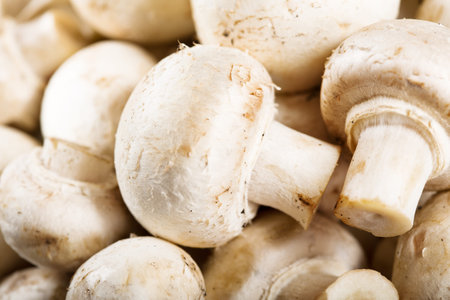 Fresh champignon mushrooms as background