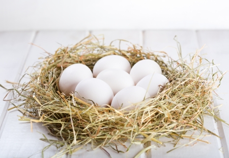 white eggs in nestの写真素材