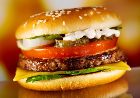  hamburger with fresh vegetablesの写真素材