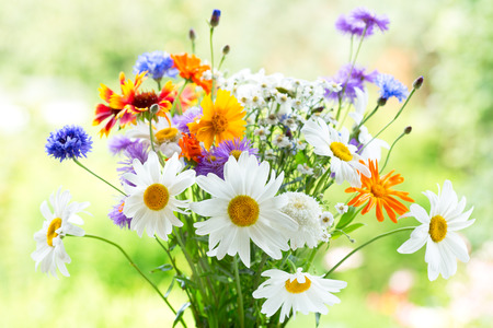 bouquet of summer flowers on green backgroundの写真素材