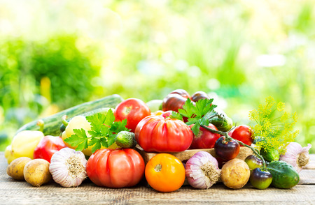 various fresh vegetables on wooden table in the gardenの写真素材