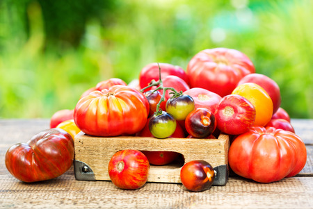 various tomatoes on wooden tableの写真素材