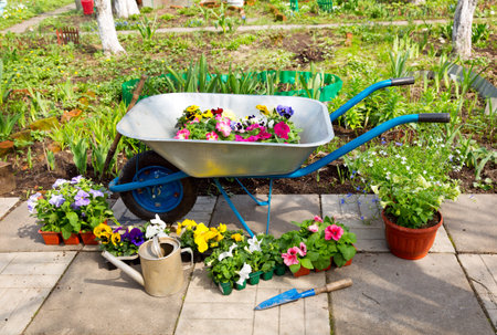 wheelbarrow with potted flowers and tools in the gardenの写真素材