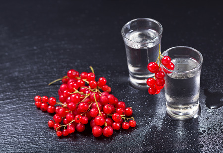 cold glasses of vodka with red currant on dark backgroundの写真素材