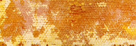 close up of honeycomb as backgroundの写真素材
