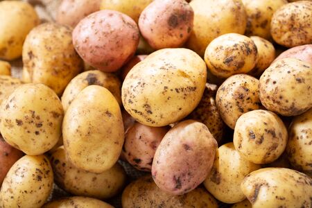 fresh potatoes as backgroundの写真素材