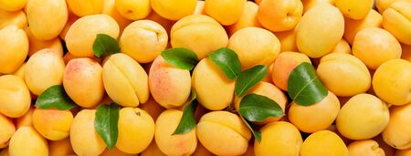 fresh ripe apricots as background, top viewの写真素材