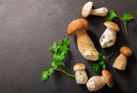 Edible mushrooms on a dark table. Boletus mushroom, top viewの写真素材